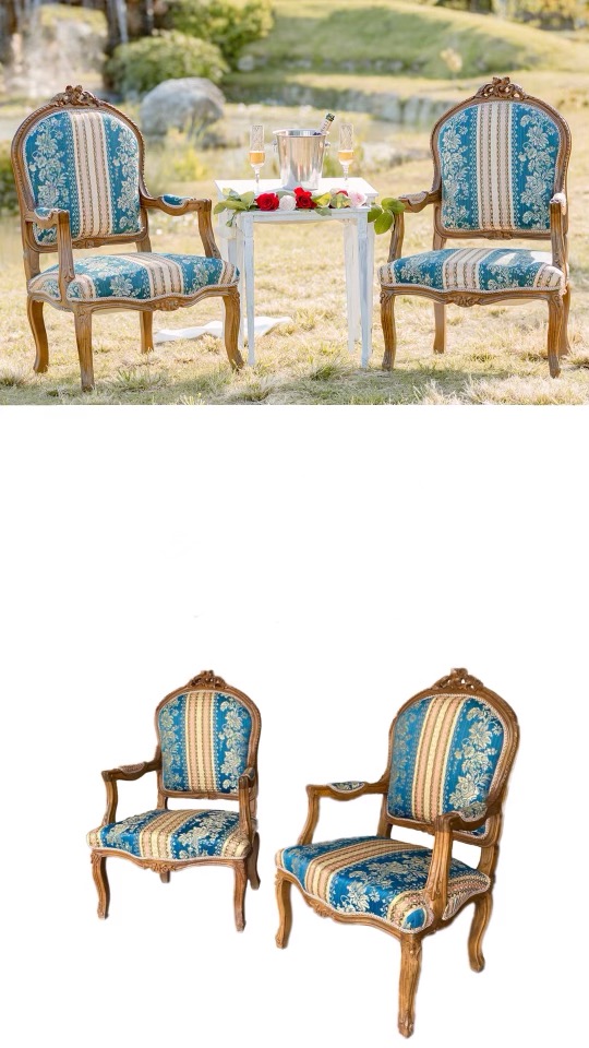 Delila Set Chairs $ 190